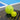 Besser trainieren mit Mini Pickleballs – die BZER Warm-up Bälle